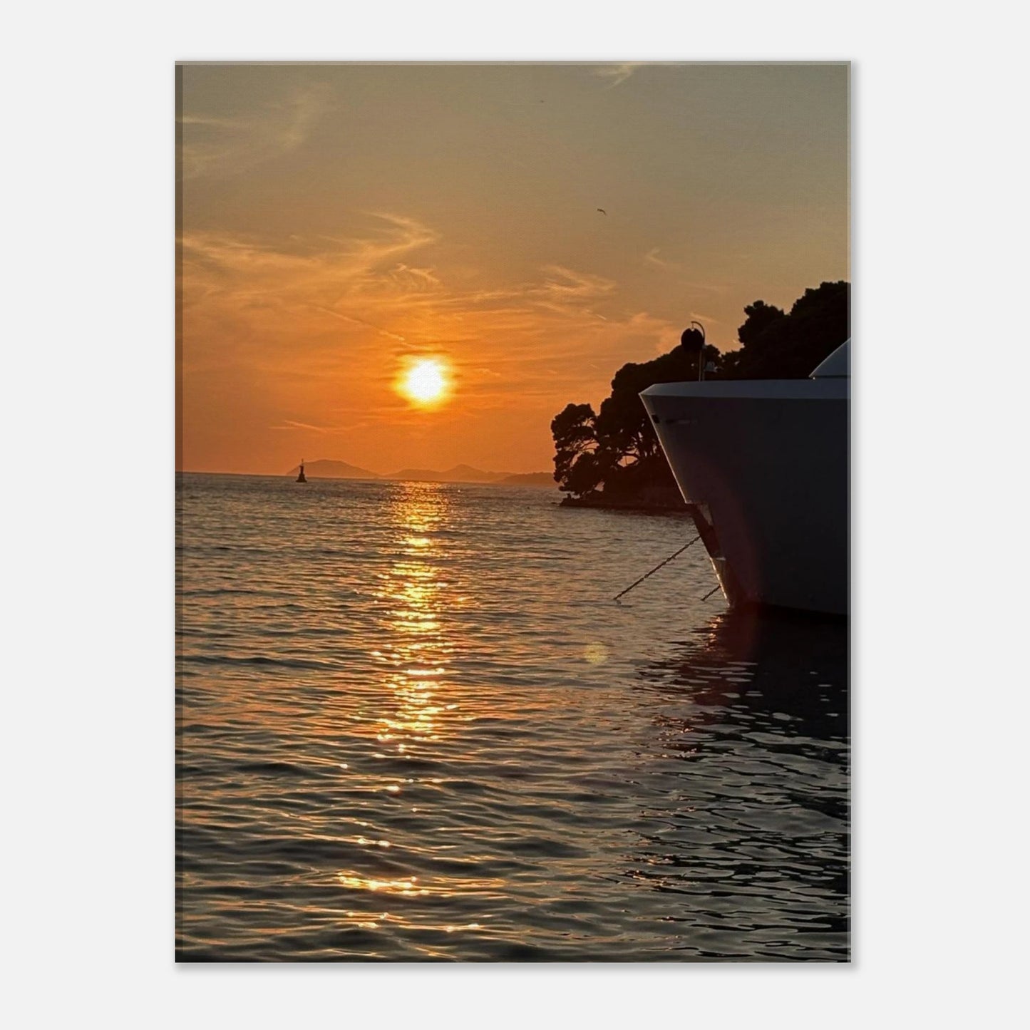 53d0303e-639d-48b3-8cb9-15159a9185ca